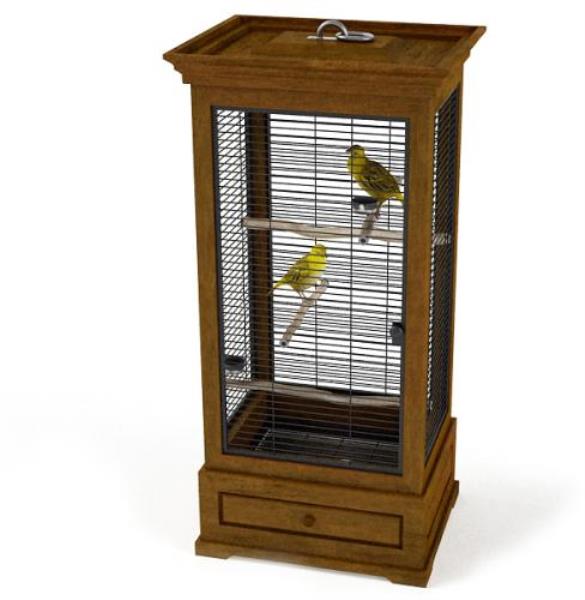 Bird Cage - دانلود مدل سه بعدی قفس پرنده - آبجکت سه بعدی قفس پرنده - دانلود مدل سه بعدی fbx - دانلود مدل سه بعدی obj -Bird Cage 3d model free download  - Bird Cage 3d Object - Bird Cage OBJ 3d models - Bird Cage FBX 3d Models - بلبل